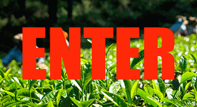 Rethinking Drugs Animation